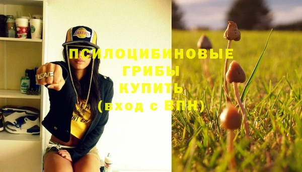 соль ск Абинск